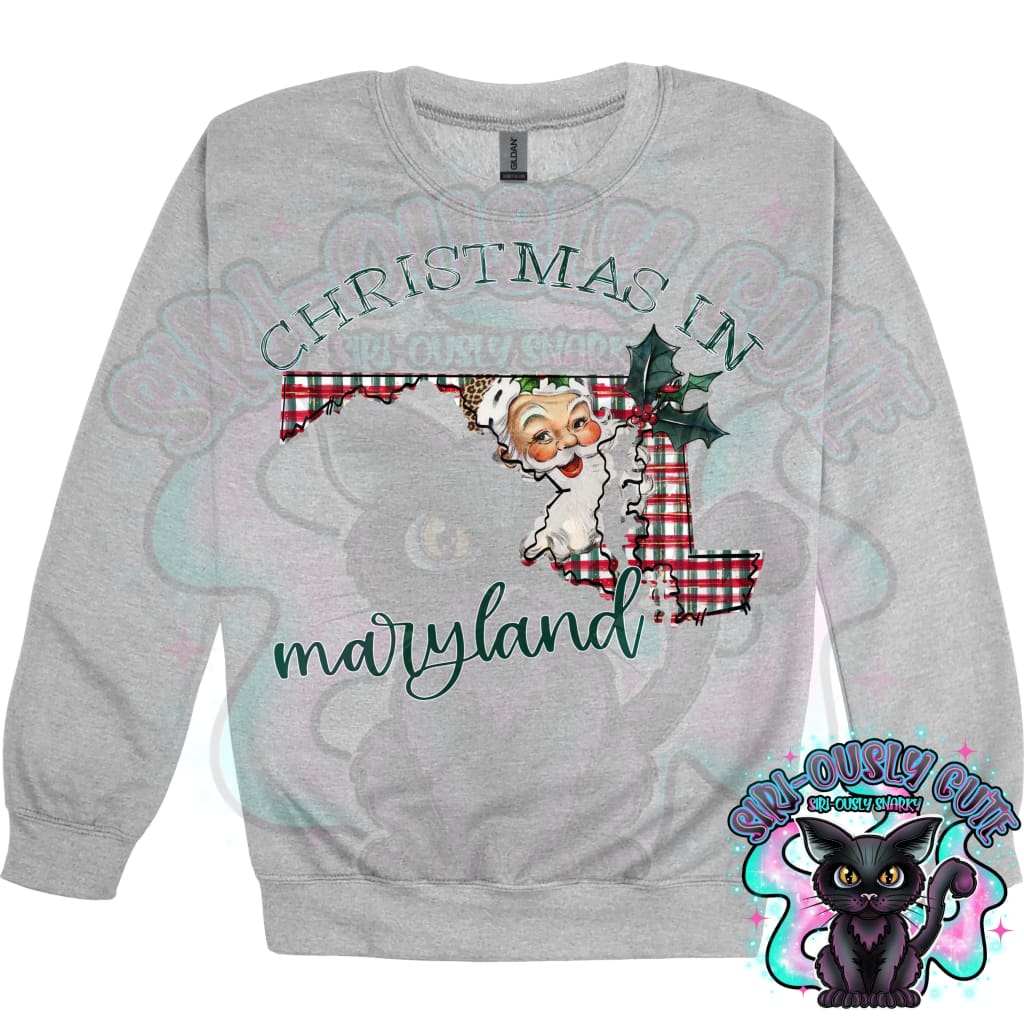 Christmas in State Name Santa State