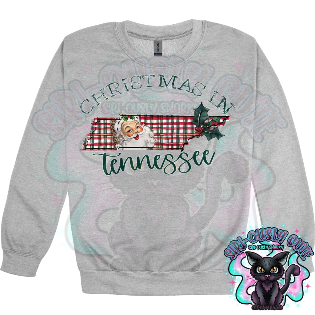 Christmas in State Name Santa State