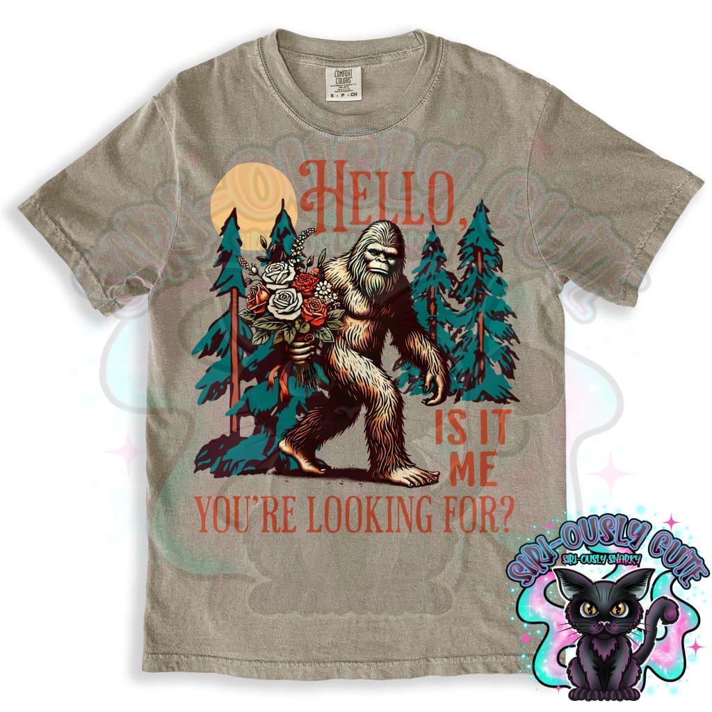 Hello Its Me Bigfoot Clothing