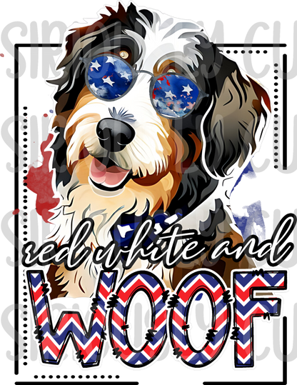 red white and woof bernedoodle