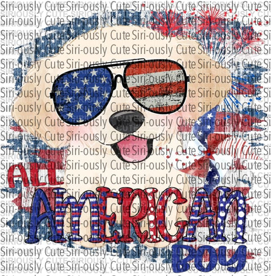 All American Boy - Lab