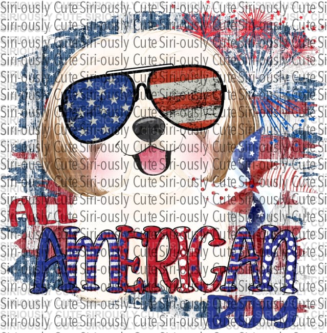 All American Boy - Shitzu