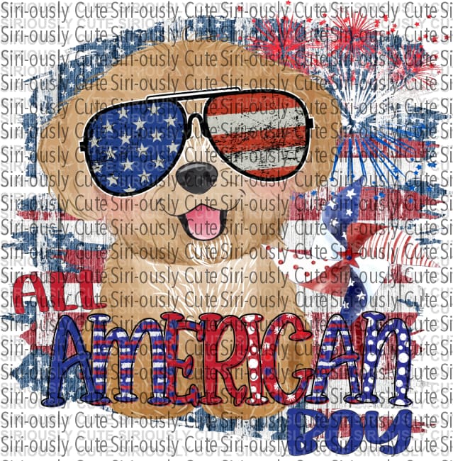 All American Boy - Spaniel