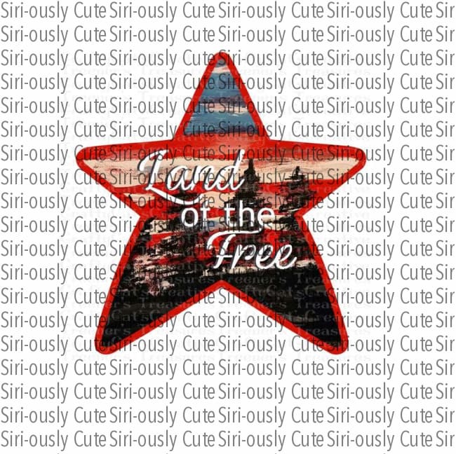 American Flag - Land Of The Free Star Earrings