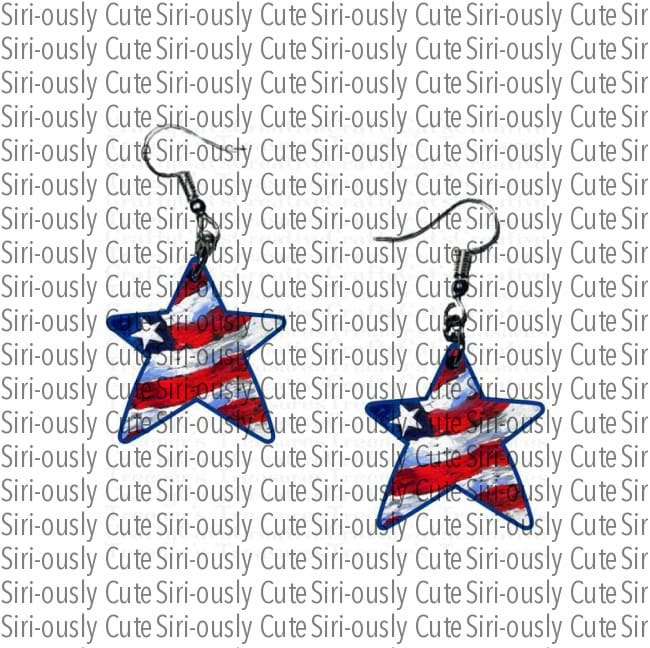 American Flag - One Star Earrings