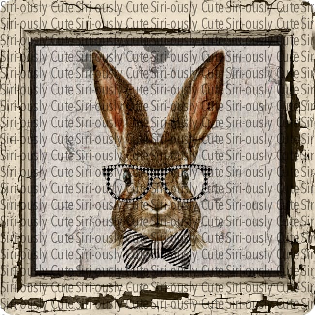 Bunny With Glasses And Distressed Wooden Frame