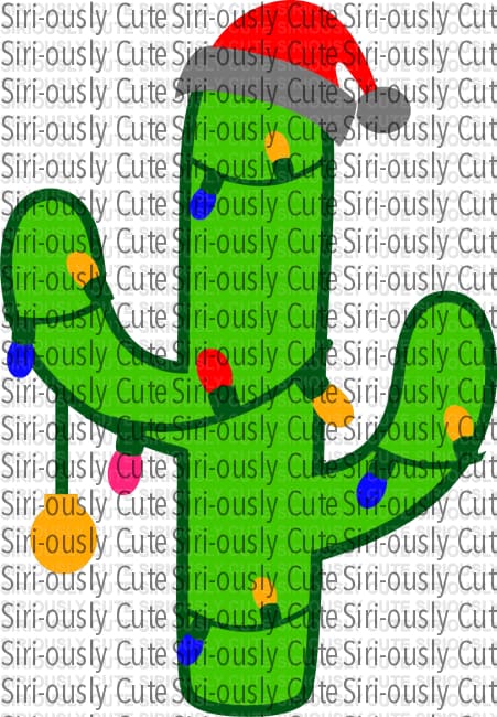 Christmas Cactus