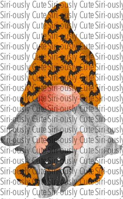 Gnome With Orange Hat With Bats And Black Cat