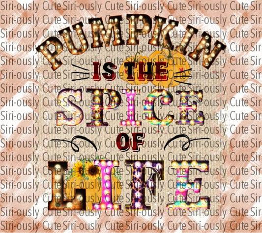 Pumpkin Is The Spice Of Life - Straight Tumbler