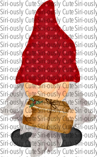 Red Dots Hat Gnome With Gift