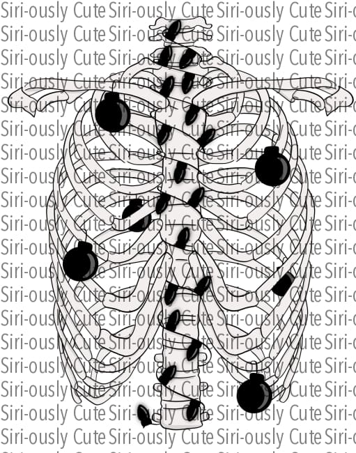 Skeleton Rib Cage With Black Lights And Ornaments